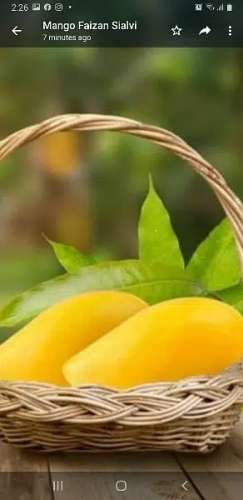 Mangoes Farm And Fresh Fruit