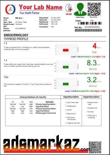 Reportooo - New Medical Lab Online Software