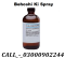 Chloroform Spray Price In Sialkot $ 03000902244 N