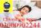 Chloroform Spray Price In Burewala	 $03000♥90♦22♣44☺