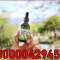 Chloroform Spray price in Samundri@03000042945 All...