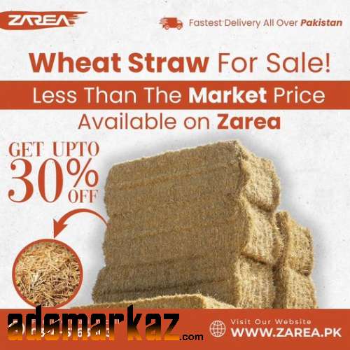 Wheat Straw Available on Zarea.pk