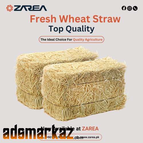 Wheat Straw Now Available on Zarea Limited