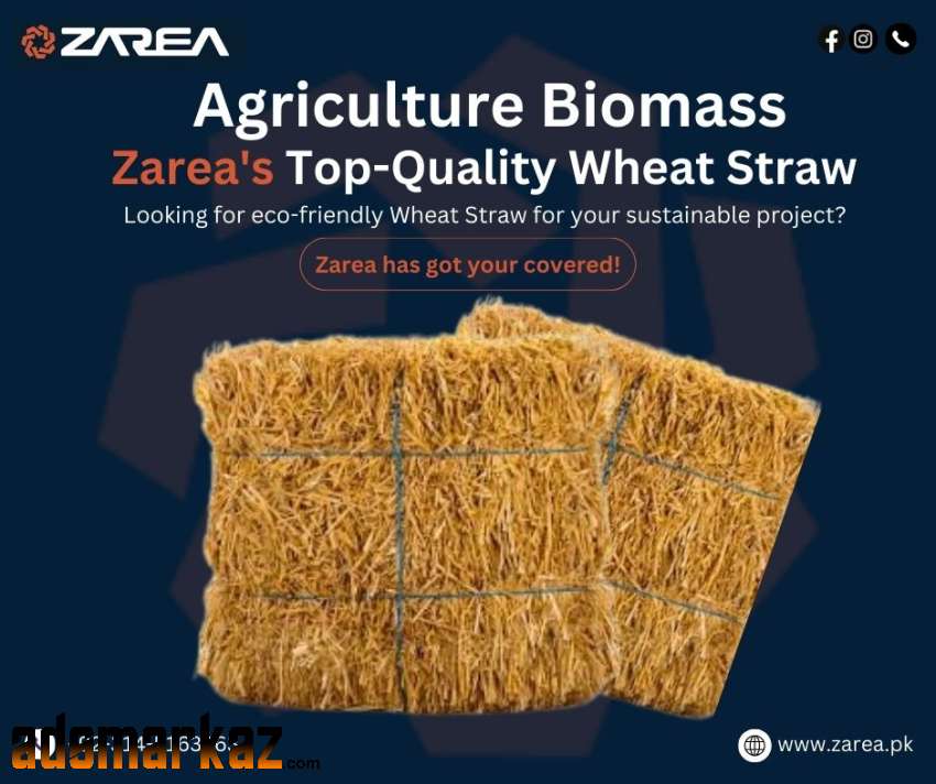 Premium Wheat Straw Options Available on Zarea.pk