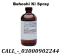 Chloroform Spray Price In Kotri #03000902244 N
