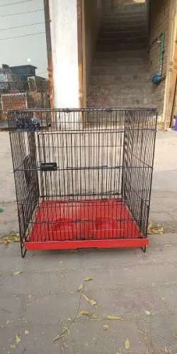 Birds Cage For Sale