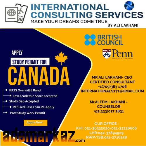 International consulting services USA, Canada, EUROPE & London