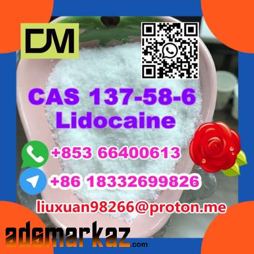 Manufacturer Supply Raw Material CAS 137-58-6 Lidocaine