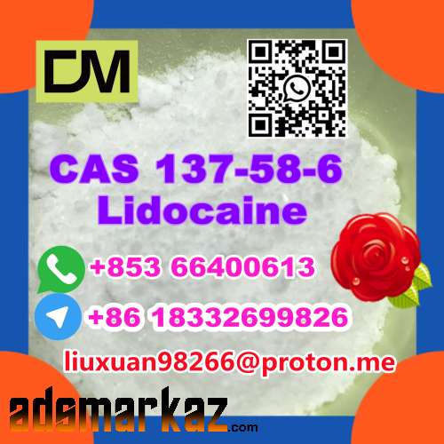 Manufacturer Supply Raw Material CAS 137-58-6 Lidocaine