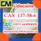 CAS 137-58-6 Lidocaine door to door