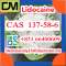 CAS 137-58-6 Lidocaine door to door