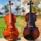 Guitar Violin Ukuleles Musical Instruments Accessories