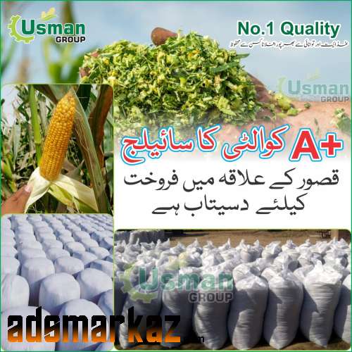 Best Quality Corn Silage for sale
