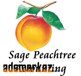 Best Peach Tree Course In Mansehra KPK