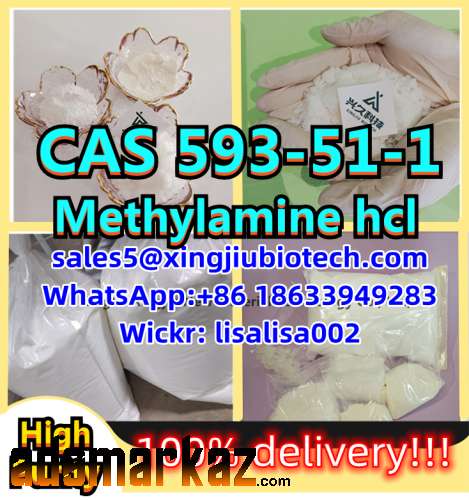 CAS 593-51-1 Methylamine hydrochloride China factory