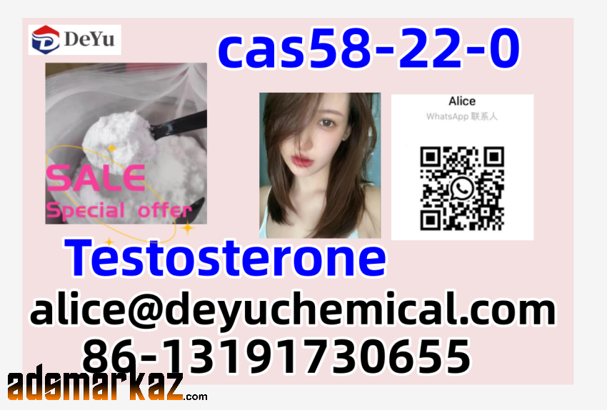 58-22-0 Testosterone